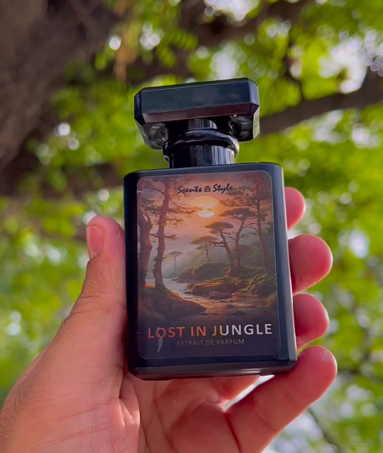 Lost in Jungle Perfume